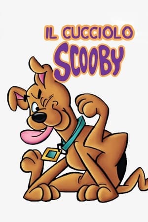 Scooby Doo, a kölyökkutya poszter