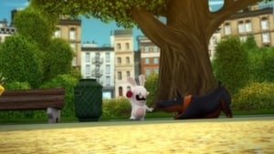 Rabbids: Invázió 1. évad Ep.56 56. epizód