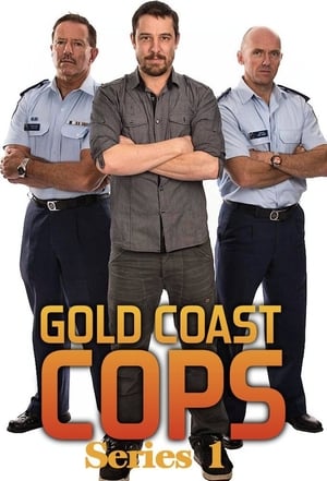 Gold Coast Cops 1. évad (2014-09-29) poszter