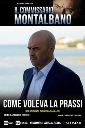 Montalbano felügyelő 11. évad (2017-02-27) poszter