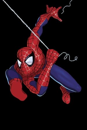 Spider-Man: The New Animated Series poszter