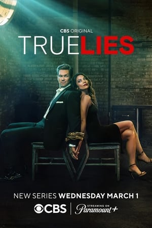 True Lies - Két tűz között poszter