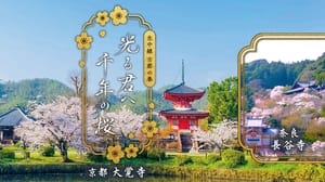 古都の春 光る君へ千年の桜 kép