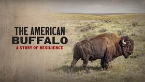 The American Buffalo Speciális epizódok Ep.1 1. epizód