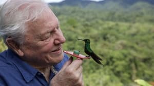 David Attenborough: Az élet színei kép