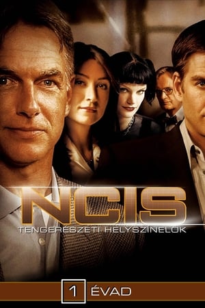 NCIS 1. évad (2003-09-23) poszter