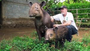 360° - Die GEO-Reportage kép