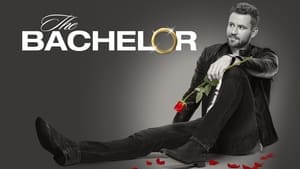 The Bachelor kép