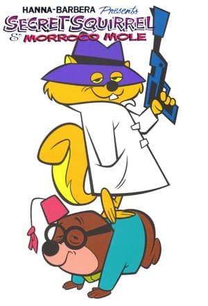 The Secret Squirrel Show poszter