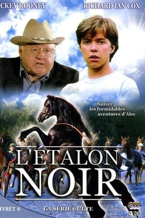 The Adventures of the Black Stallion 1. évad (1992-01-05) poszter