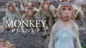 Monkey Planet kép