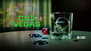 CSI: Las Vegas-i helyszínelők kép