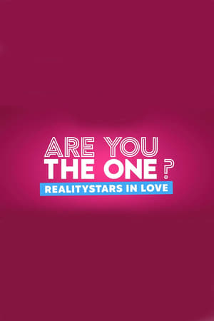 Are You The One – Reality Stars in Love poszter