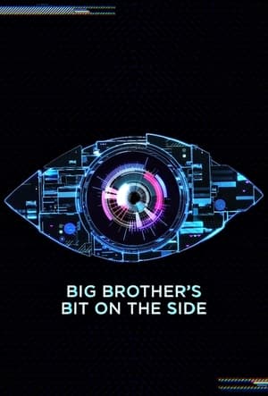 Celebrity Big Brother's Bit on the Side poszter