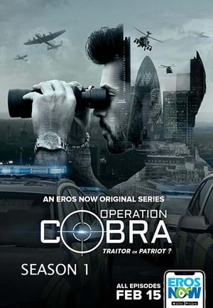 Operation Cobra 1. évad (2019-02-15) poszter