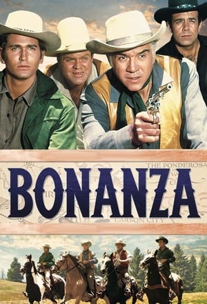 Bonanza poszter