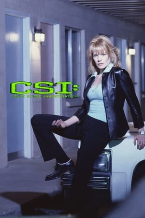 CSI: A helyszínelők poszter