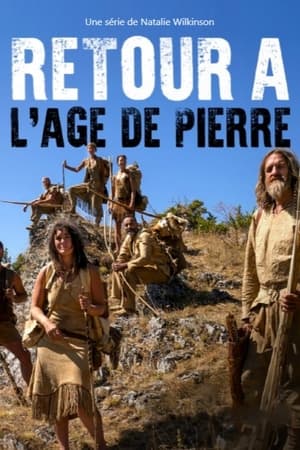 Retour à l'âge de pierre