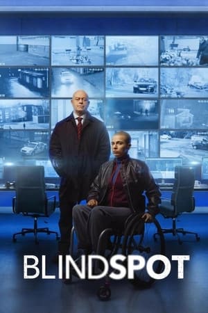 Blindspot 1. évad (2023-07-04) poszter