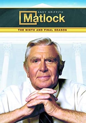 Matlock 9. évad (1994-10-13) poszter