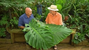 Gardening Australia 30. évad Ep.17 17. epizód