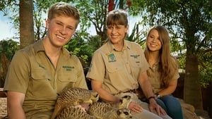 Ausztrál állatkert - Steve Irwin öröksége kép