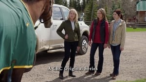 Heartland 11. évad Ep.1 1. epizód