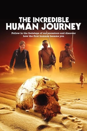 The Incredible Human Journey poszter