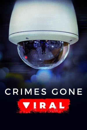 Crimes Gone Viral 3. évad (2022-05-26) poszter