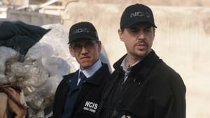 NCIS 19. évad Ep.12 Üss vagy fuss!