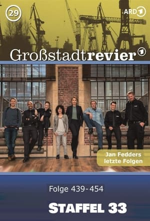 Großstadtrevier 33. évad (2020-01-27) poszter