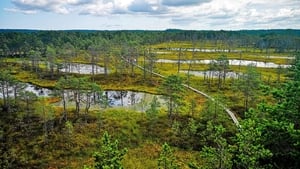 Nationalparks im Baltikum kép