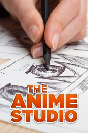 THE ANIME STUDIO