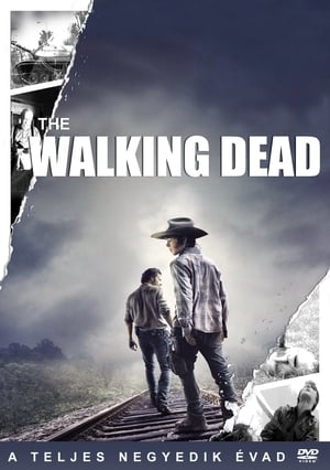 The Walking Dead 4. évad (2013-10-13) poszter