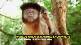 World's Greatest Animal Encounters előzetes