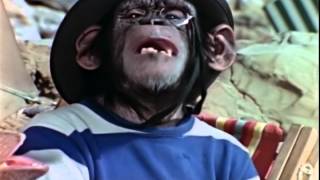 Lancelot Link, Secret Chimp előzetes