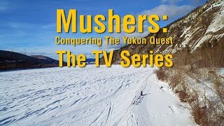 Mushers: Conquering the Yukon Quest előzetes