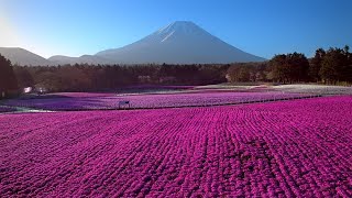 Le Japon vu du ciel előzetes