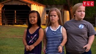 7 Little Johnstons előzetes