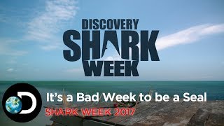 Shark Week előzetes